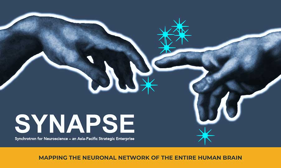 SYNAPSE